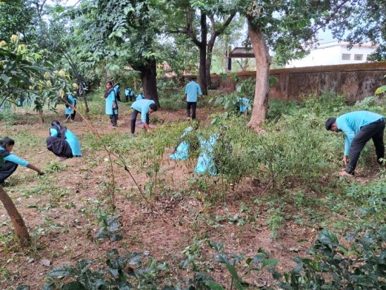 Cleaning of Premises and Plantation Drive